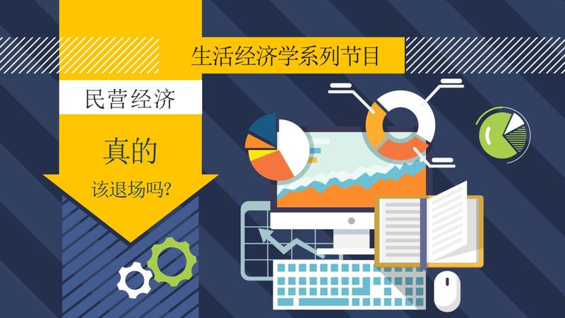 财经观察家 | 姚景源:私营经济真的该退场了吗?